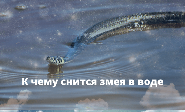 snitsya_zmeya_v_vode