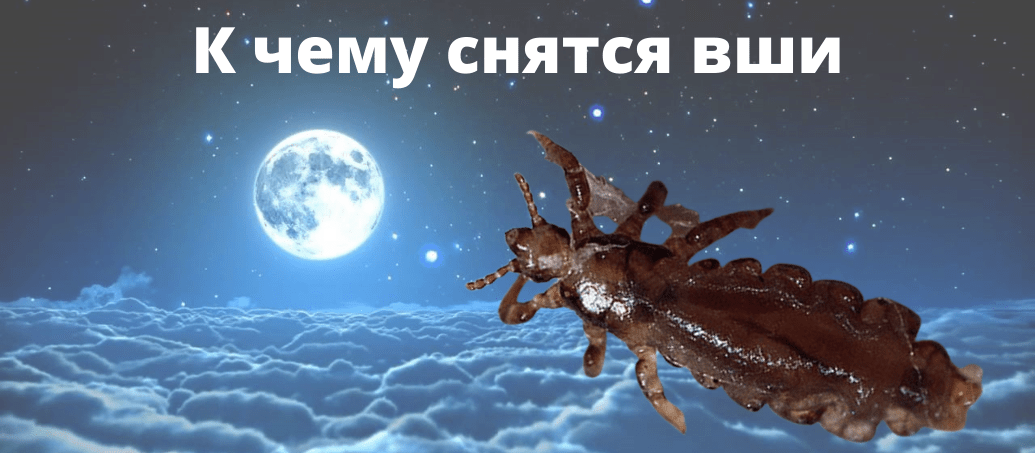 K_chemu_snyatsya_vshi